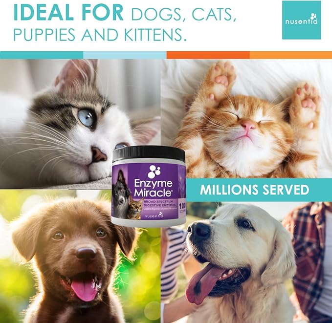 Enzymes for Cats & Dogs : Enzyme Miracle® (100 Servings) : for Digestive Stress, Pancreatic Concerns, and Healthy Weight Management.