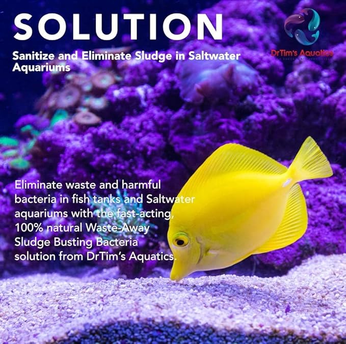 DrTim's Aquatics Waste-Away Saltwater (DrTim's Aquatics Waste-Away Saltwater 4oz)