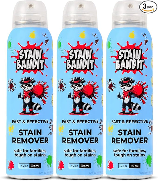Stain Remover Spray | Non-Toxic Stain Remover Family Safe Formula | Bag-On-Valve 360° Continuous Spray Bottle | Cleaner for Clothes, Upholstery, Carpet & Car Seats 4.2 Oz, (Pack of 3)