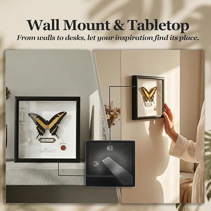 ArsVenciik Real Framed Butterfly Specimen - Preserved Papilio thoas (King Swallowtail) Taxidermy - Yellow & Black Square Shadow Box - Handmade Wall Art & Unique Gift for Home or Office Decor