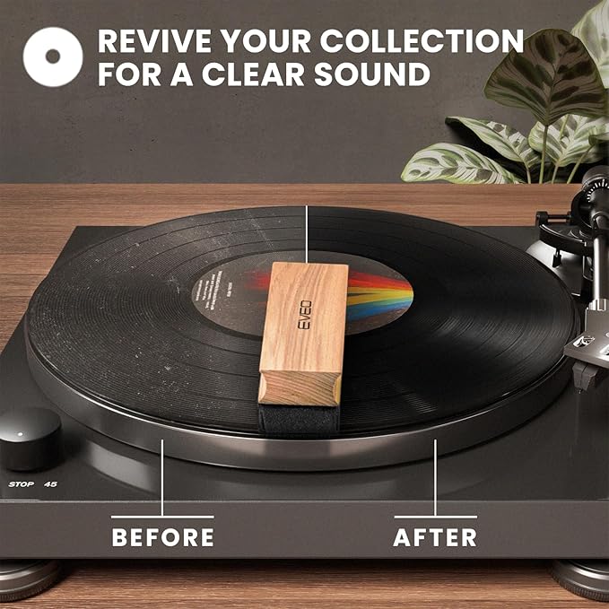 EVEO Vinyl Care Bundle - 200 Vinyl Sleeves + Vinyl 4-1 Cleaner Kit
