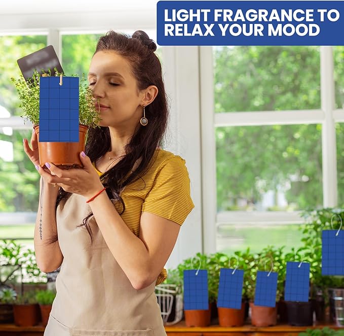 Qualirey 100 Sticky Trap for Gnats 3 x 5'' Dual Side Sticky Fruit Fly Trap with Tie Plant for Flying Insect Fungus Bugs Flying Catcher for Indoor (Dark Blue)