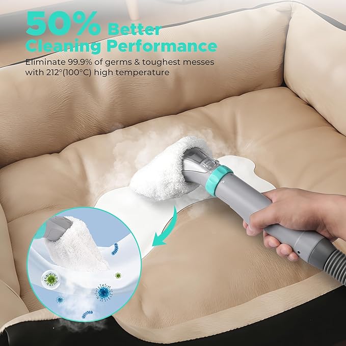 HAUSHOF Steam Portable Carpet and Upholstery Cleaner Machine, Instant Heating Portable Carpet Cleaner with Steam&HotWater&Cold Water System, Steam Cleaner for Carpets, Cars, Furniture, Couch