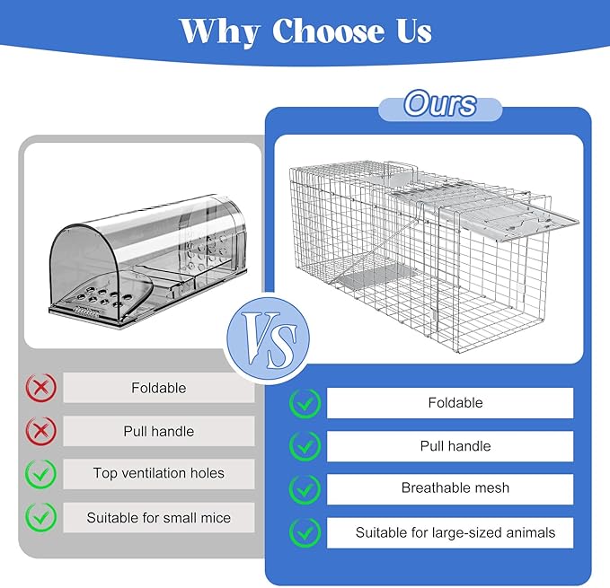 Humane Live Animal Trap, Heavy Duty Folding Raccoon Traps Cage for Cat, Squirrel, Skunk, Raccoon, Fox Catch and Release Large Size 31.1 * 11 * 12.6 Inch