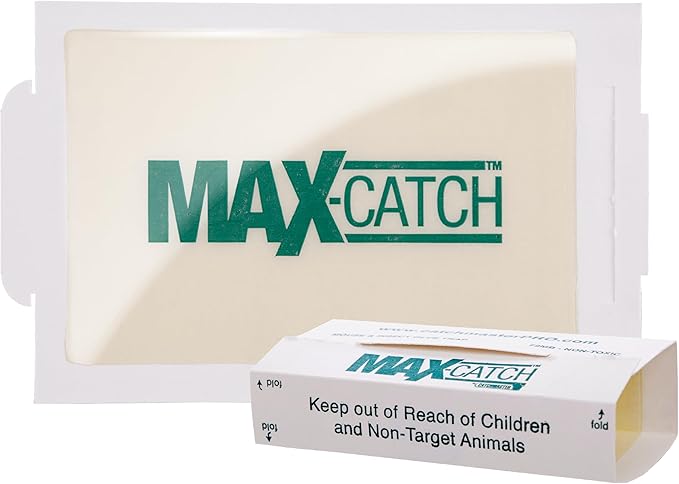 Catchmaster Max-Catch Mouse & Insect Glue Trap 72PK, Mouse Traps Indoor for Home, Sticky Pest Control Adhesive Tray for Catching Bugs, Bulk Unscented Glue Boards