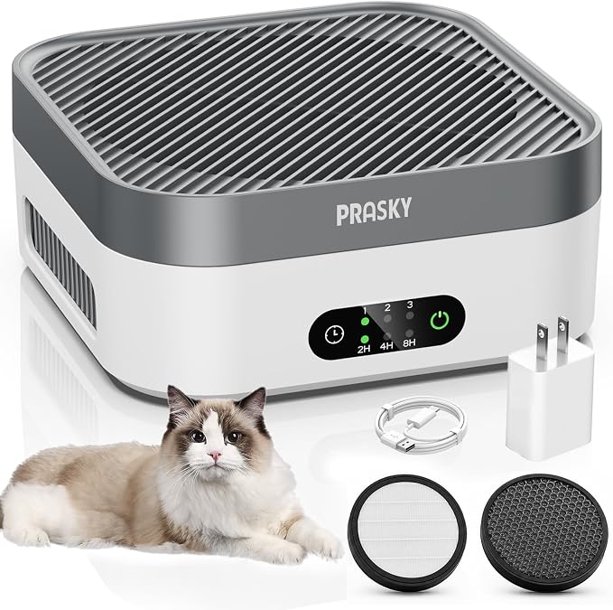 Air Purifiers for Home, 2 Filter, Plug-in, H13 True HEPA Filter Captures Smoke Odor Pet Dander, USB Powered Portable Quiet Car Air Purifier for RV/Desk/Bedroom/Office, Covers up to 600 Ft², Timer
