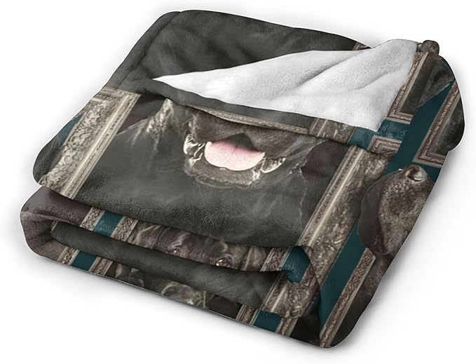 Labrador Retriever Dog Blanket - Cute Throw for Girls, Women, Kids, Adults - Soft Warm Cozy Fleece for Couch, Sofa, Bed - 60"x50" - Gifts and Decor