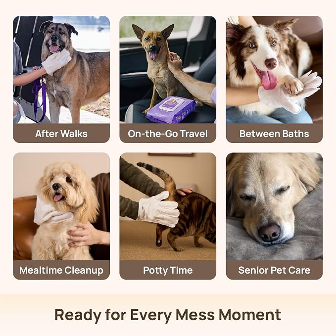 HICC PET Cleaning Deodorizing Glove Wipes for Dogs & Cats, Vet Recommended Hypoallergenic Hydrating & Nourish Fur Pet Grooming Glove Wipes, Pet Bathing Wipes for Horse Coat Care, 20pcs Rose Scent