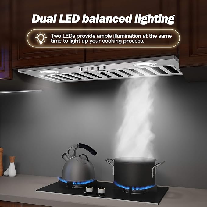 JOEAONZ Range Hood Insert 20 Inch 600 CFM Stainless Steel, Ducted/Ductless Convertible Ultra-Quiet Built-in Kitchen Exhaust Hood with Dishwasher-Safe Filter, 3-Speed & Dual LEDs Efficient Lighting