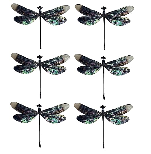 6 Real Black Dragonfly Specimen Collection Bug Mounted Dead Animal Preserved Entomology Taxidermy Oddity Scientific Lover Insect Nature Art Artwork Display Gallery Decor Decoration Indoor Home BO85X6