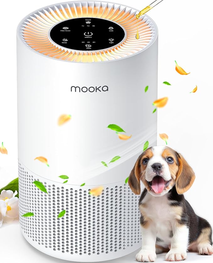 M200L Air Purifiers for Home Large Room 2200ft² + AP-S0610L Air Purifiers for Home Large Room 1200ft²