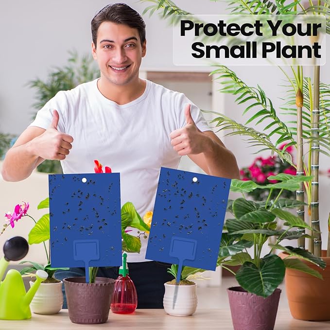 Qualirey 100 Pcs Blue 6 x 8 Inch Sticky Traps for Gnats Dual Sided Fruit Fly Sticky Traps for Indoor and Outdoor Plant with Twist Ties and Plastic Holders for Fungus Gnats, Bug, Flying Insect
