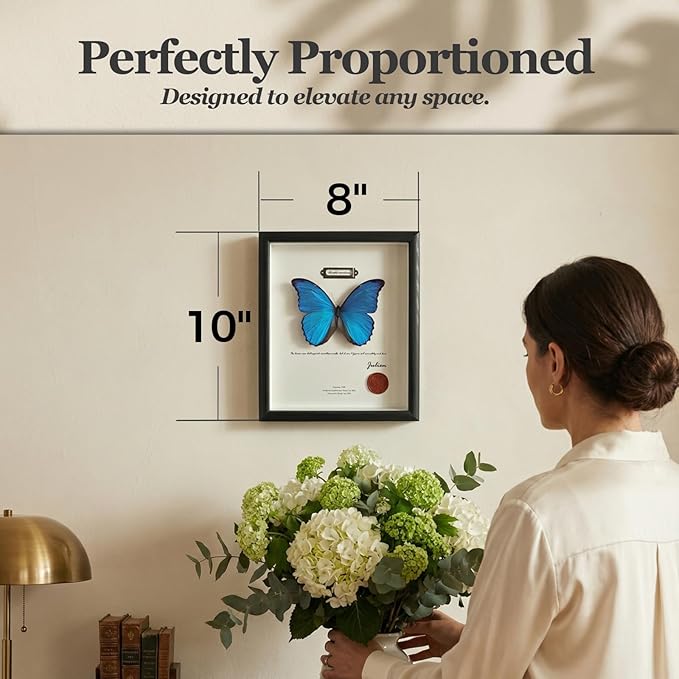 ArsVenciik Real Framed Butterfly Specimen - Preserved Blue Morpho Butterfly Taxidermy (Morpho menelaus) - 8x10 inch Shadow Box Wall Art, Unique Entomology Decor & Handmade Gift for Nature Lovers
