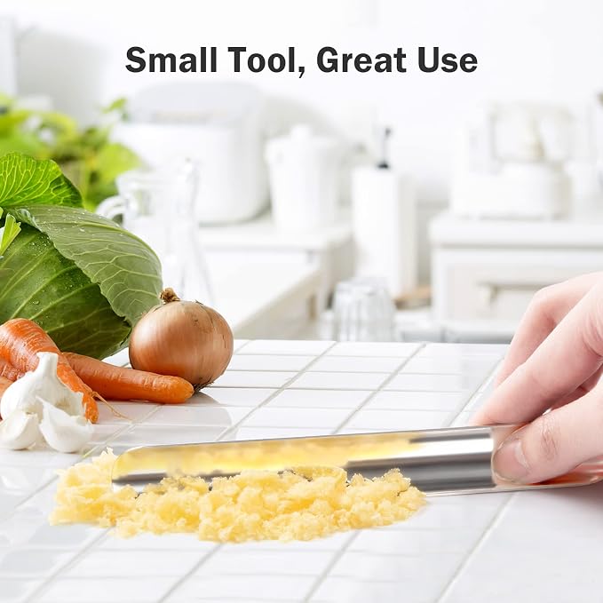 Restaurant Crumb Sweepers, Restaurant Crumb Cleaner, High Quality Stainless Steel Crumb Scraper, Crumber Tool for Waiters, Waitresses and Servers (1 PACK, Silver)