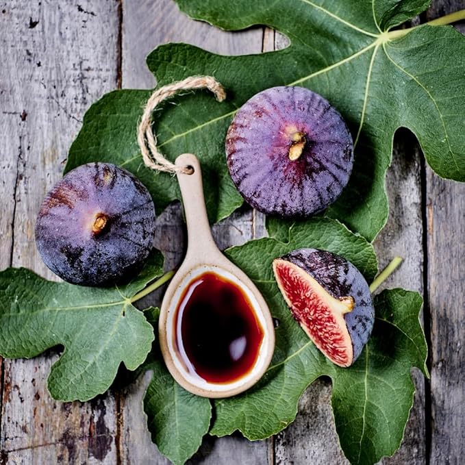 Oliviers & Co Fig Balsamic Vinegar of Modena IGP Certified Italian Gourmet Fig Glaze for Salad, Cheese, Marinade & Desserts Sweet & Tangy 8.5 Fl Oz