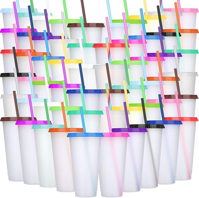 Honeydak 100 Pack Tumbler with Straw and Lid Bulk Water Bottle Iced Coffee Travel Mug Cup Reusable Plastic Cups for Party Birthdays 24-27 oz (Chic Color)