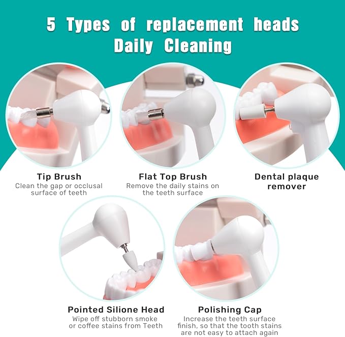 Electric Tooth Polisher for People Dental Calculus Plaque Remover for Animal,5 Replacement Heads,USB Rechargeable,Cleaning Tools