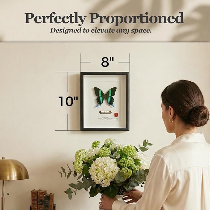 ArsVenciik Real Framed Butterfly Specimen - Handmade Preserved Papilio blumei (Green Peacock Swallowtail) Taxidermy - 3D Shadow Box Wall Art & Unique Nature Lover Gift for Home Decor