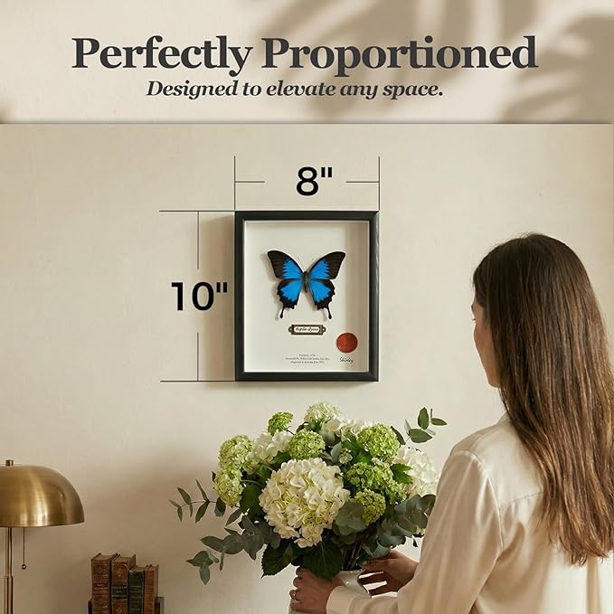 ArsVenciik Real Framed Butterfly Specimen - Preserved Papilio ulysses (Blue Emperor) - Electric Blue Taxidermy Shadow Box - Handmade Entomology Art & Gift for Nature Lovers