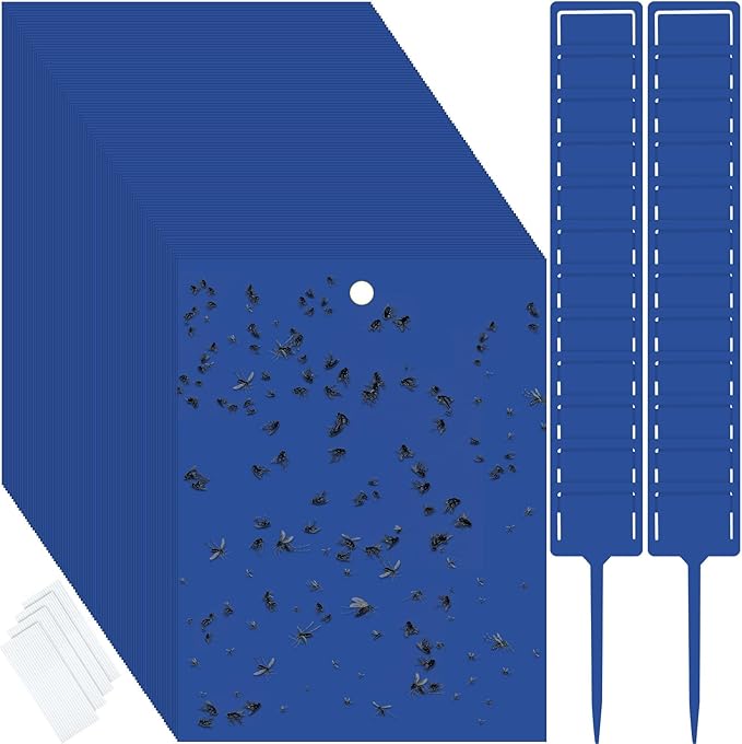 Qualirey 100 Pcs Blue 6 x 8 Inch Sticky Traps for Gnats Dual Sided Fruit Fly Sticky Traps for Indoor and Outdoor Plant with Twist Ties and Plastic Holders for Fungus Gnats, Bug, Flying Insect