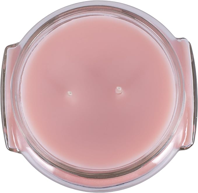 Tyler Pastel Peach 2-Wick 11 Ounce Glass Aromatherapy Scented Jar Candle Pack of 2, Bless Your Heart