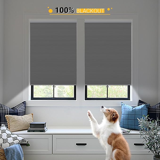 Blackout Cellular Shades Cordless Blinds Window Shades for Home, 26W x 64H, Cool Silver(Blackout)