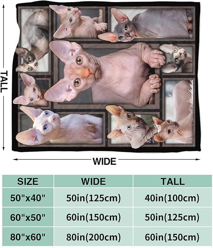 Tijuboni Sphynx Cat Throw Blanket Cat Gifts for Girls Boys Women Men Kids Adults Soft Flannel Fleece Blanket for Couch Sofa Bed Home Decor 50"x60"