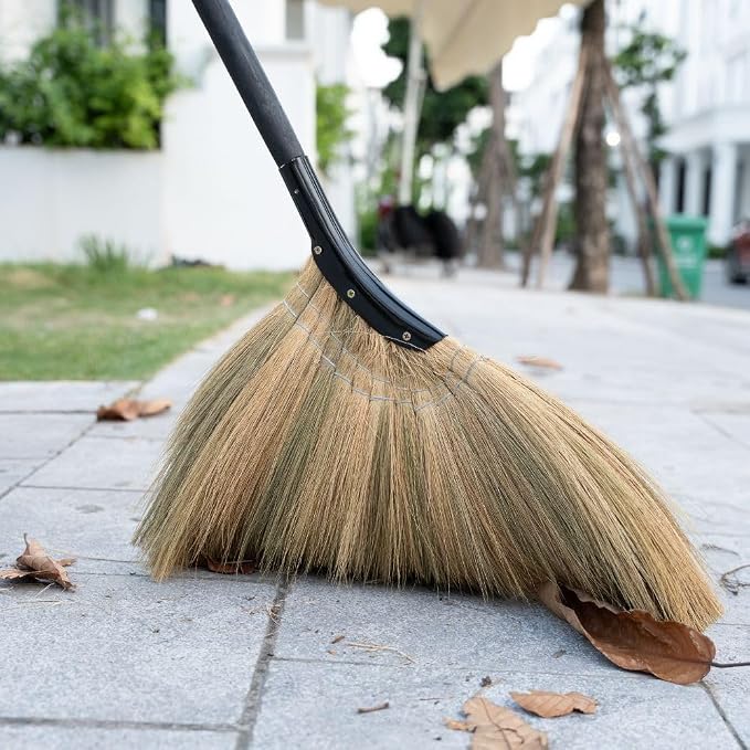 Vietnamese Straw Soft Broom - Indoor Grass Broom - Sweeping Hand with Black Long Handle Broomstick for House, Garage, Office, Lobby Room, Kitchen with 56.69 in Length