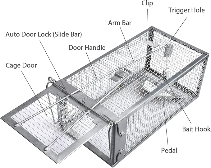 Gingbau 2-Pack Rat Traps Humane Live Chipmunk Mouse Trap Cages for Indoor and Outdoor Use