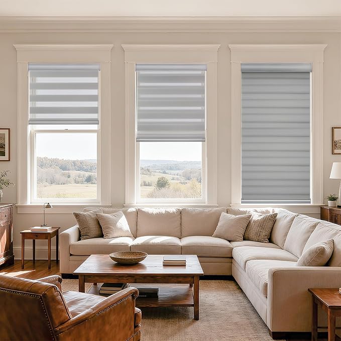 MYshade Cordless Zebra Blinds with Free-Stop Function - Dual Layer Light Filtering & Privacy Sheer Shades for Day and Night - Easy Install Window Shades for Home, Living Room, 40" W x 64" H,Grey