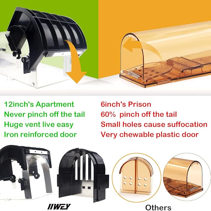 Humane Mouse Trap