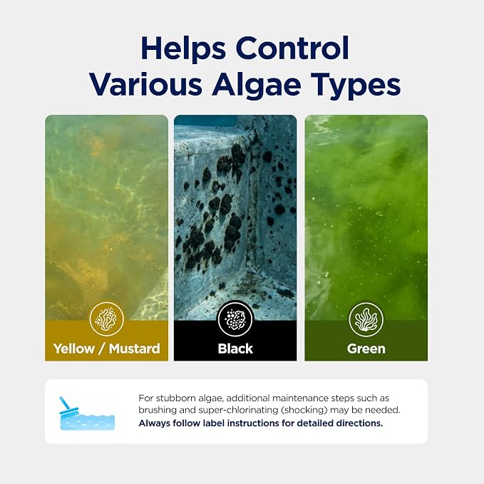 AquaDoc Algae Smash Polyquat 60 Algaecide for Swimming Pools - 32 oz - Non-Foaming, Non-Staining Formula to Help Remove and Prevent Algae in Inground and Above Ground Pools - Made in USA