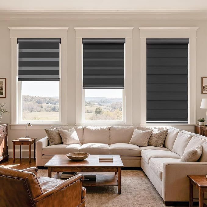 MYshade Cordless Zebra Blinds with Free-Stop Function - Dual Layer Light Filtering & Privacy Sheer Shades for Day and Night - Easy Install Window Shades for Home, Living Room, 24" W x 72" H,Black