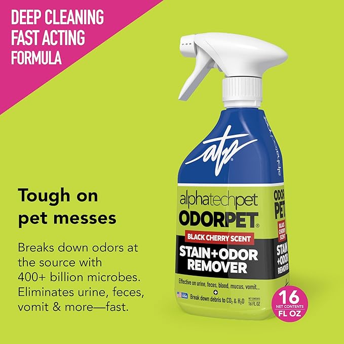 OdorPet Pet Stain Remover and Odor Eliminator - 16 Oz Ready To Use Spray, Non Staining, Professional Strength, Black Cherry Scent by Alpha Tech Pet