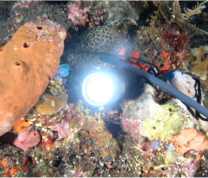 SecurityIng Waterproof 1000 Lumens LED Diving Flashlight Underwater 150m Super Bright LED Scuba Light, 9 Degrees Narrow-Angle Beam Diving Safety Light Night Dive Torch