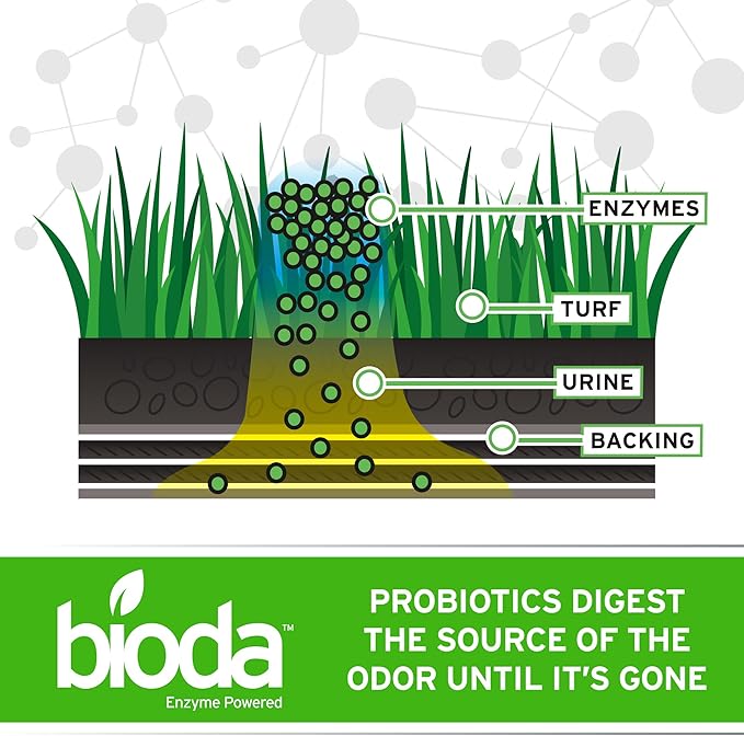 Bioda Probiotic Natural Outdoor Odor Eliminator – Enzyme Cleaner Destroys Cat & Dog Odor – Neutralizer for Lawn, Artificial Grass, and Patios