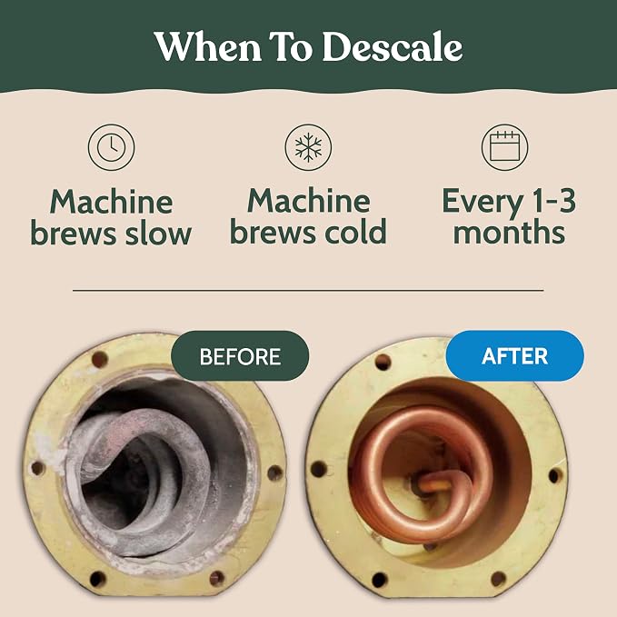 Roobi Philips Compatible Descaling Solution & Cleaner. Specially Formulated for Philips Espresso Machines. Carbon Neutral Descaler Kit. 2 Uses per Bottle, 2 Pack