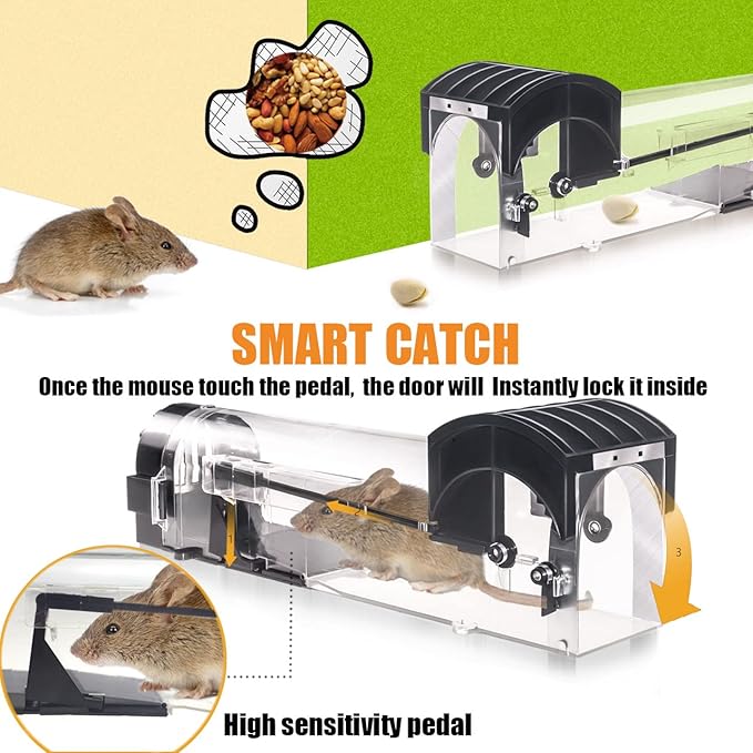 Humane Mouse Trap