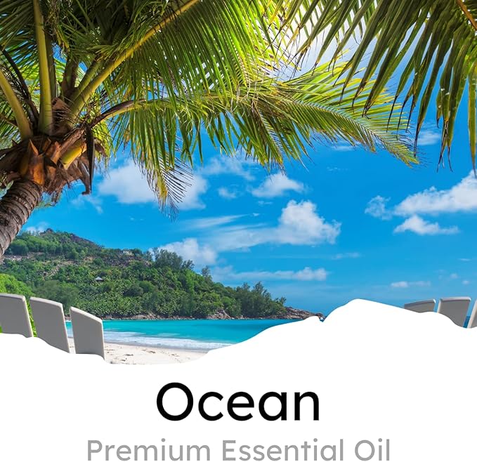 Air Jungles Ocean Scent Odor Eliminator Balls (6 Count), Car Air Freshener Vent Clips (6 Pack), 3-in-1 Leather Cleaner Wipes (70 Ct), and All Purpose Cleaning Wipes (70 Ct)