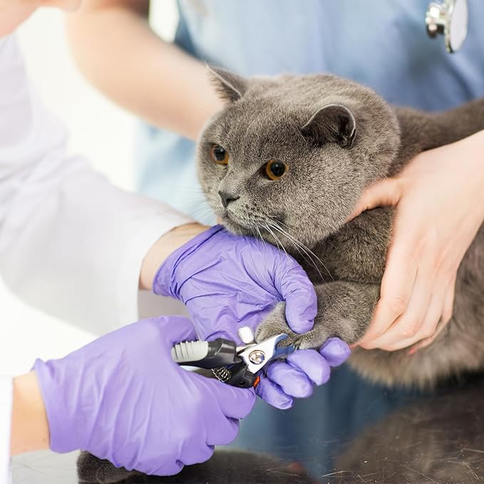 Disposable Gloves Large, Nitrile and Vinyl Blend Material Gloves, Latex Free 4 Mil 200 Pc Food Grade Glove for Cleaning, Food Prep,Hair Dye,Tattoo, Purple