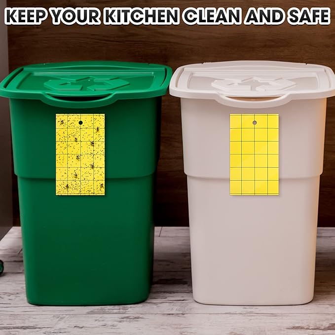Qualirey 200 Sticky Trap for Gnats 3 x 5'' Dual Side Sticky Fruit Fly Trap with Tie Plant for Flying Insect Fungus Bugs Flying Catcher for Indoor (Yellow)