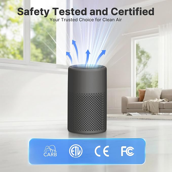 2 Pack Air Purifiers for Bedroom Home, True HEPA Filter for Dust, Smoke, Pet Dander, Small Air Purifier with Sleep Mode for Bedroom Office, Night Light Quiet 24dB, Fragrance Sponge, Dark Gray