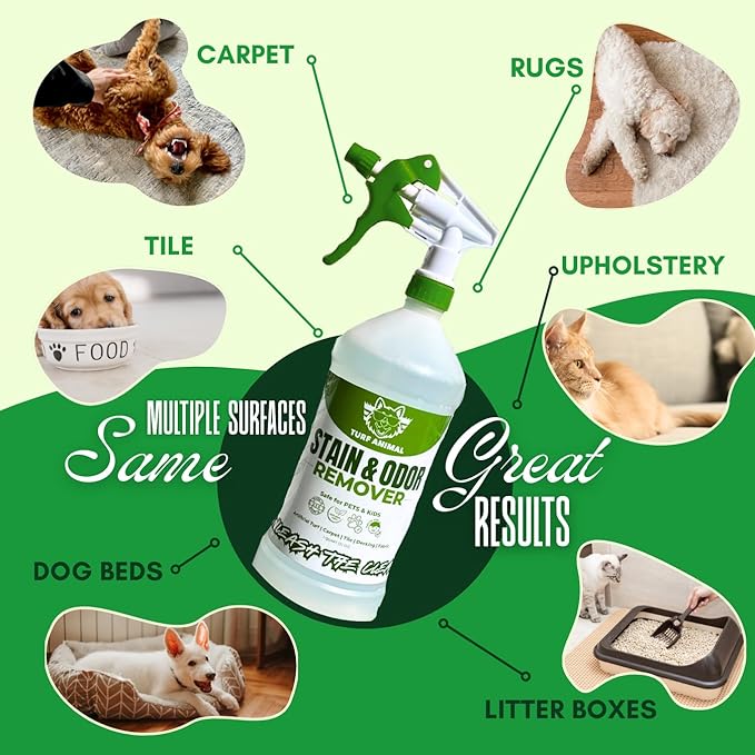 Turf Animal INDOOR Extra Strength Pet Stain & Odor Remover for Strong Odors and Stubborn Stains – Natural Enzyme Odor Eliminator for Carpet & Indoor Surfaces – Enzymatic Dog Urine Destroyer, 1 Quart