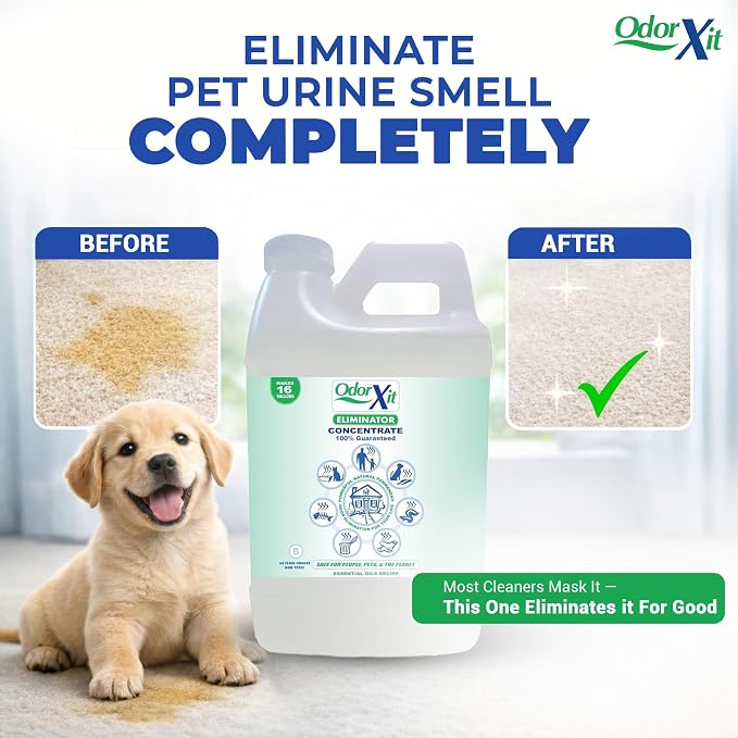 Concentrated Pet Urine Odor Eliminator, Ideal for Cat, Dog Poo and Urine Smell, Versatile & Natural Odor Neutralizer for Home and Outdoor Use, Deodorizer & Absorber, Concentrate, 64oz