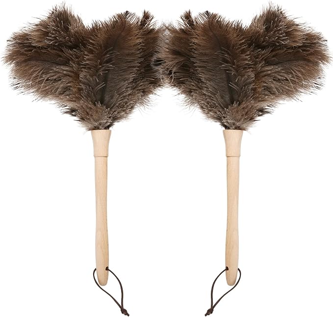 Ostrich Duster Fluffy Natural Feather Dusters with Wooden Handle Cleaning Supplies for Home Office Car (2, 16inch)