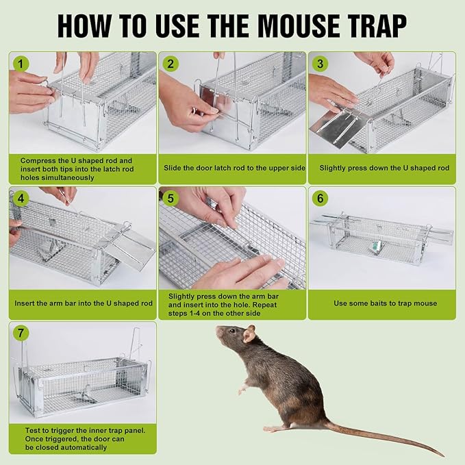 2-Door Humane Live Animal Trap – Catch and Release Cage for Rats, Mice, Chipmunks, Squirrels | Reusable Indoor Outdoor Rat Trap | 16.53 x 6.1 x 4.33 Inch