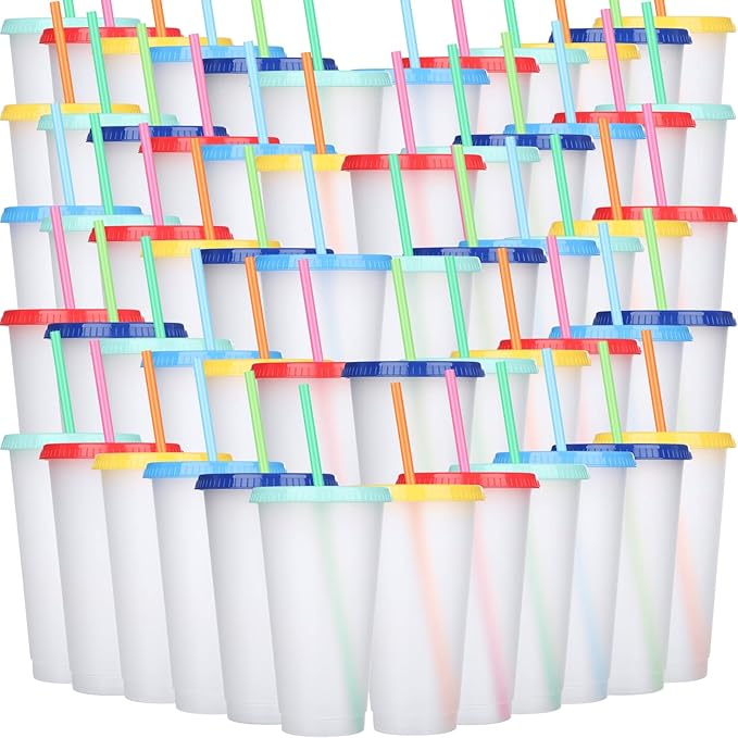 Honeydak 60 Pack Tumbler with Straw and Lid Bulk Cups for Gifts Water Bottle Iced Coffee Travel Mug Cup Reusable Plastic Tumblers for Party Birthdays 24-27 oz (Stylish Color)