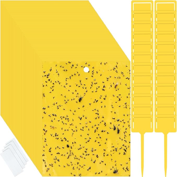 Qualirey 400 Pcs Yellow 6 x 8 Inch Sticky Traps for Gnats Dual Sided Fruit Fly Sticky Traps for Indoor and Outdoor Plant with Twist Ties and Plastic Holders for Fungus Gnats, Bug, Flying Insect