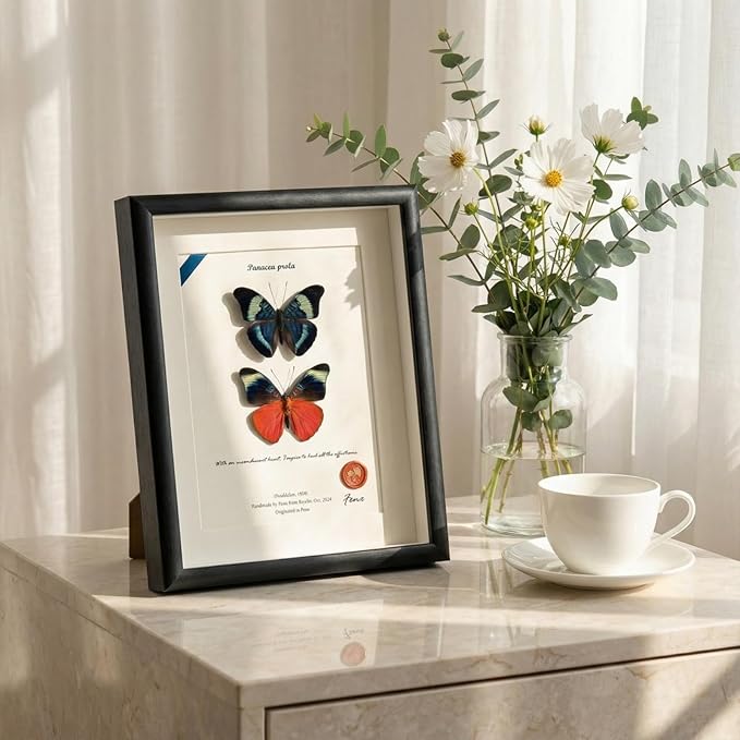ArsVenciik Real Framed Butterfly Specimen Duo - Preserved Panacea prola (Red Flasher) Taxidermy - Front & Back View Shadow Box - Handmade Entomology Wall Art & Unique Gift for Home Decor