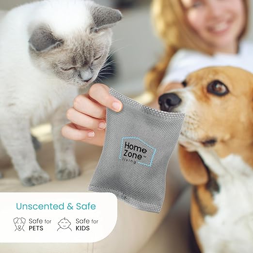 Home Zone Living CleanAura Deodorizing Bamboo Activated Charcoal Filter Bag Set of 4 (Pack of 4)